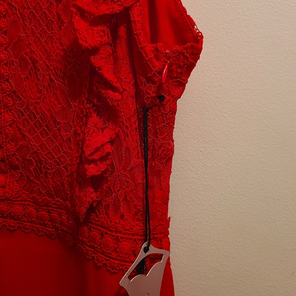 Haute Monde Red Lace Sleeveless Dress - Picture 5 of 7